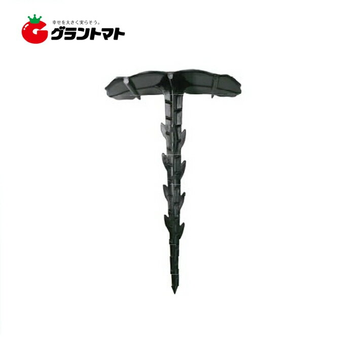 �����ȥ����ѡ��ԥ� 800��(50�ܡ�16��) ��������88mm�ߤ�������142mm ��������