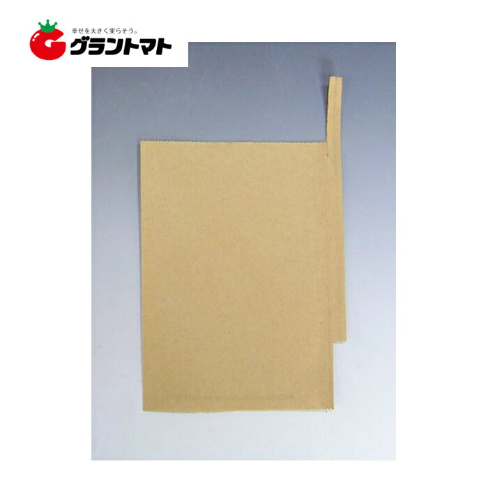 �̼��� �ʤ����� K-9 ����ʤ��� 2500�� (50���50���å�) Ȣ���쿧��Ź