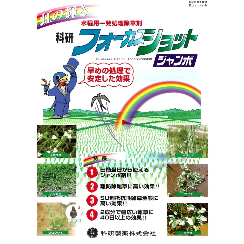 �ե�����������åȥ����� 500g(50g��10��) �ꤲ���������ν������ȯ����� ����ѽ���� �ʸ�����