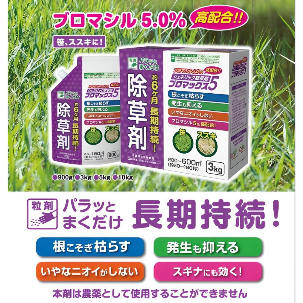 �֥��ޥå���5γ�� 3kg ����� �֥��ޥ���5�� ���������� �֥��å�5 ��˥塼������ �ϡ���