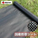 マラソン期間中P3倍 国産 防草シート 200cm(2.0m)×100m【約26kg】 (下草 防止 雑草 対策 水耕 栽培 園芸 用品 資材 芝生 花壇 カッ...