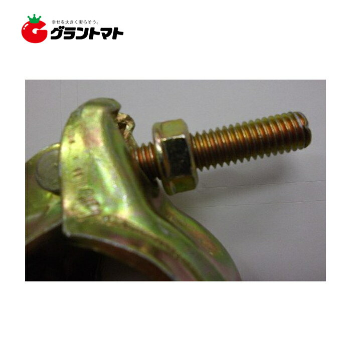 ������ ���� 48.6mm��48.6mm Ȣ��� 30�� �󿶤� ������ ���󥻥�