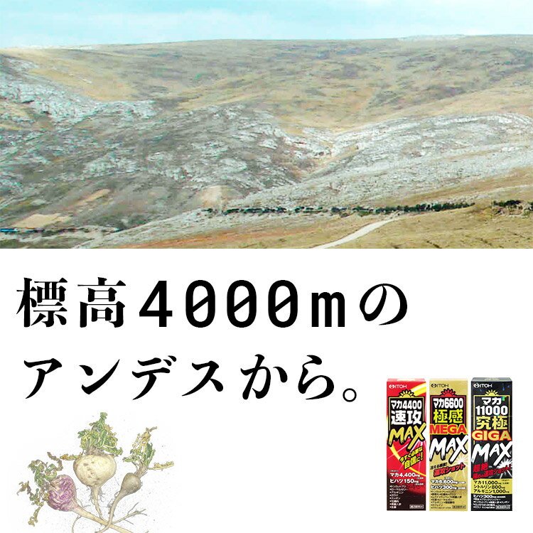 井藤漢方製薬 マカ11000究極GIGA Max 50mL*5本セット【送料無料】