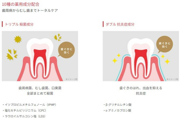 クリーンデンタル トータルケア 100g*5個セット 第一三共ヘルスケア【医薬部外品】 2