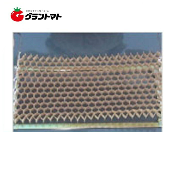 播種育苗用資材 チェーンポット CP-303 150冊 箱売り ネギ 葉物 野菜 移植用 紙鉢 ニッテン 日本甜菜製糖 大容量【取寄商品】