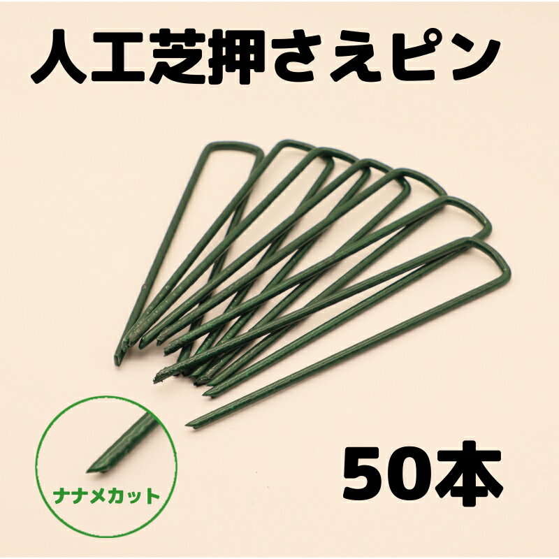 ��P5�� 4/10 20��~2h����ۿ͹��ǲ����� �ԥ� 15cm 50������ ���󥻥� ���𥷡��� �͹���
