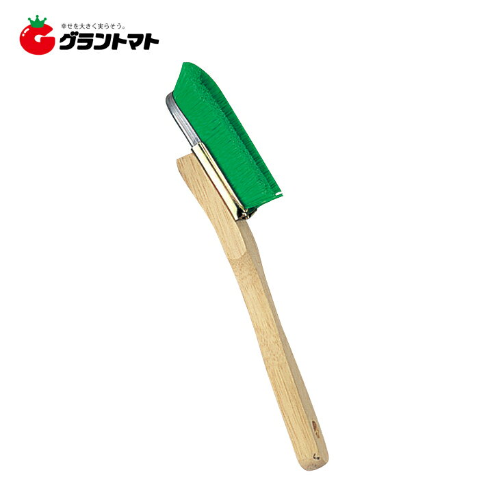 【アウトレット特価】※必ずお読みください ・本商品は在庫限りの販売となります。 ・長期保管により傷・汚れがある場合がございます。 ・商品の使用に支障はございませんが、ご理解の上お買い求めください。 ・特別価格のため、初期不良を除き、返品・交換は承りかねます。