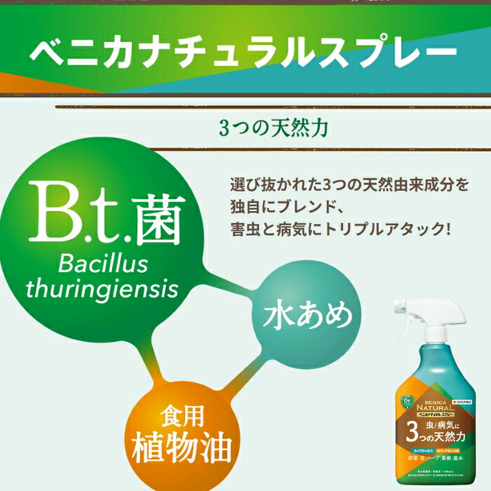 殺虫殺菌剤 ベニカナチュラルスプレー 1000ml KINCHO園芸 天然成分 虫 病気 3