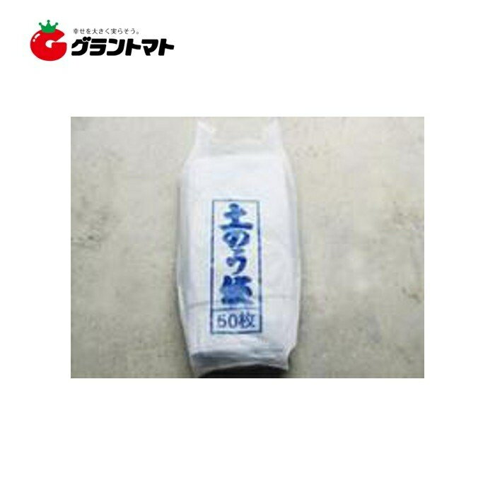 土のう袋　50枚 防災・災害向けポリエチレン製袋 シンセイ