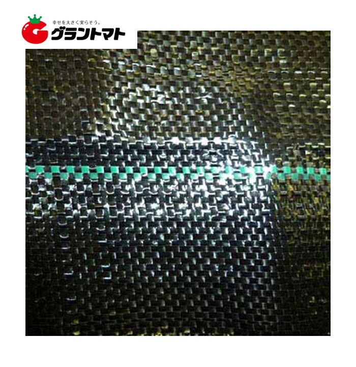 ���� ��褱�����ȡ�1m��50m�����𥷡��ȡۡ����󥻥�