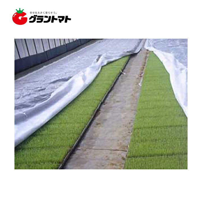 シルバーホッカ 2.7m×25m 水稲育苗用保温シート