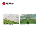キリヨケバーナル切り売り 0.1mm×630cm×1m 農PO【ビニールハウス】【取寄商品】【受注生産】