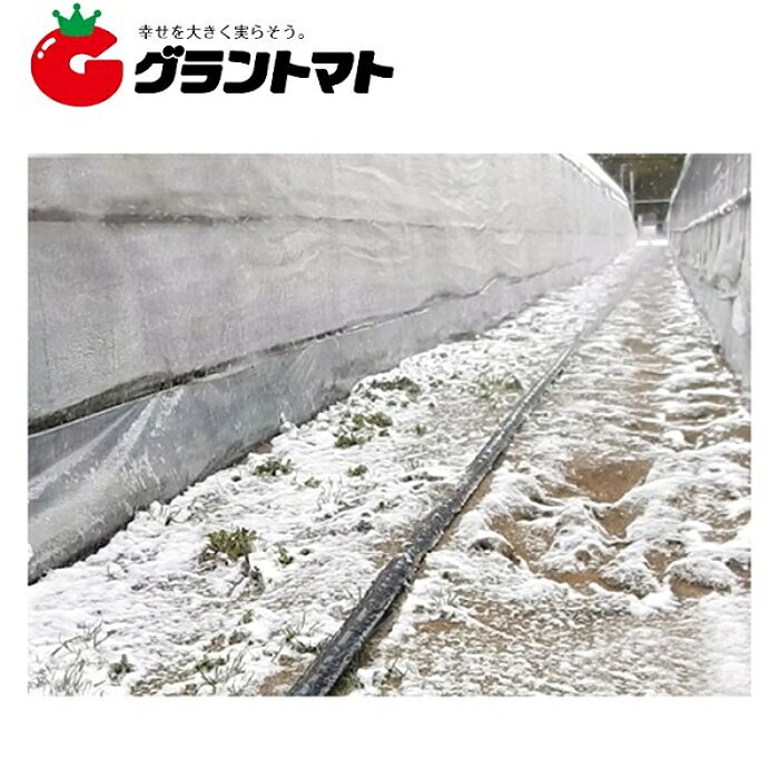 【アウトレット品】 潅水チューブ スミサンスイ R 100m 消雪 住化農業資材