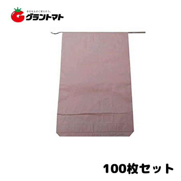 米袋 新袋 無地 30kg パック売り100枚 3重構造の頑丈な紙袋