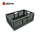 安全興業 折りたたみコンテナ 黒色 10個セット【取寄商品】