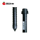 マラソン期間中P2倍 防獣杭 25×2100mm 50本入 イボタケ シンセイ防獣