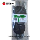 マラソン期間中P2倍 ヘアピン杭 黒丸付 30cm 10p Uピン シートキーパー シンセイ