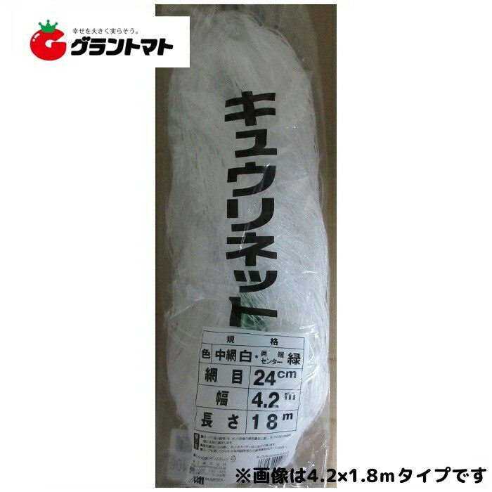 園芸ネット 目合10cm 180cm×270cm　 藤原産業 [ 園芸用品 園芸農業資材 寒冷紗・遮光ネット セフティー3]