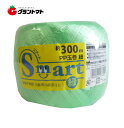 スマートPP玉巻ひも 緑 ES305 300m 宮島化学工業