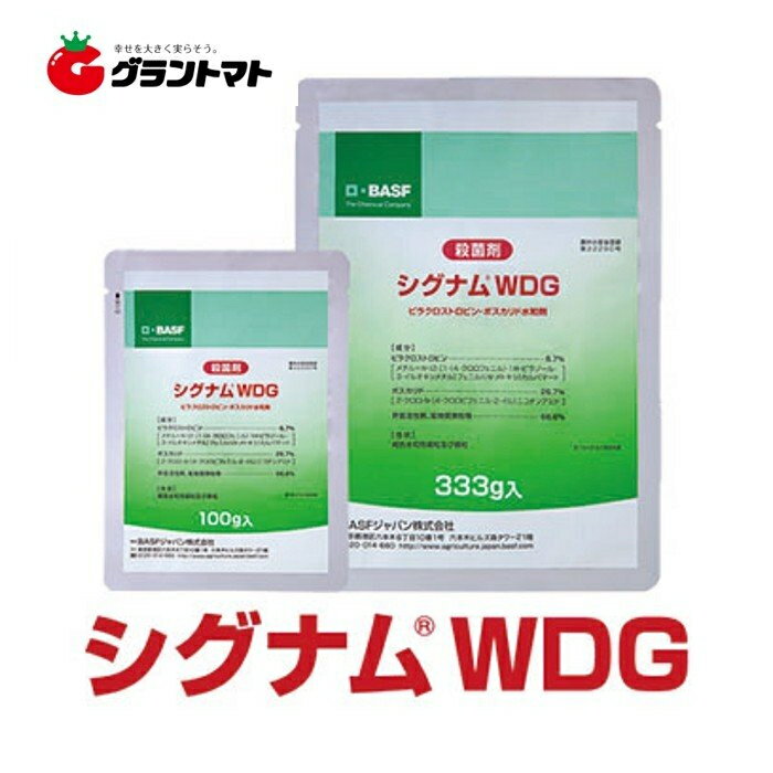 シグナムWDG 333g ダブルブロック型野菜用殺菌剤 BASF【取寄商品】