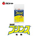 プリンス粒剤 1kg 殺虫剤 稲作 箱処理 BASFジャパン