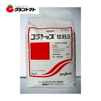 コラトップ粒剤5 3kg いもち病の殺菌剤 水稲用農薬 シンジェンタジャパン