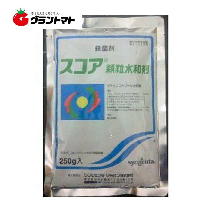 スコア顆粒水和剤 250g 高効果殺菌剤 農薬 シンジェンタジャパン