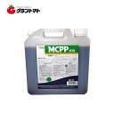 MCPP液剤 5L スギナやクローバーに効く芝用除草剤 丸和バイオケミカル