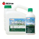 500ml 除草剤 ムギレンジャー 丸和バイオケミカル 農薬