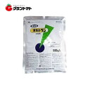 オルトラン水和剤 500g 万能浸透性殺虫剤 農薬 アリスタライフサイエンス【メール便可(1個まで)】