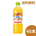 マンゴー 600ml 2ケース48本【送料無料】