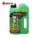 シバキープ AL2L レインボー薬品【取寄商品】
