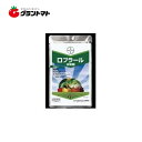 ロブラール水和剤 500g 多種主要病害予防殺菌剤 農薬 バ...