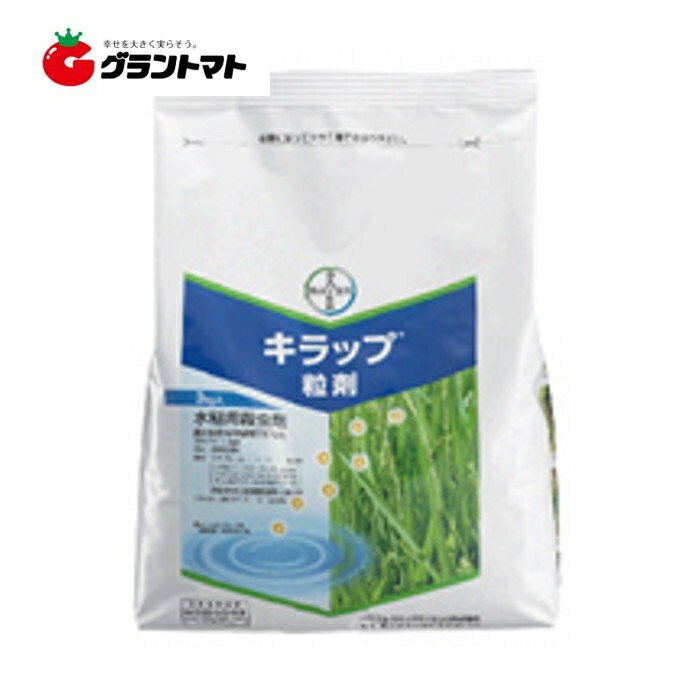 カネマイトフロアブル 500ml