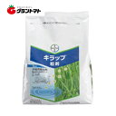 キラップ粒剤 3kg 水田用殺虫剤 農薬 バイエルクロップサイエンス