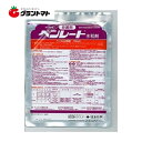 マラソン期間中P2倍 ベンレート水和剤 500g 箱売り20袋入り 対土壌病害・伝染病殺菌剤 農薬 住友化学【メール便可(1個まで)】