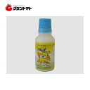 プレオフロアブル 100ml 対チョウ目長効性殺虫剤 農薬 住友化学