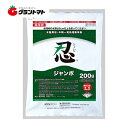 忍ジャンボ 200g 水稲用初中期一発除草剤 農薬　住友化学【取寄商品】