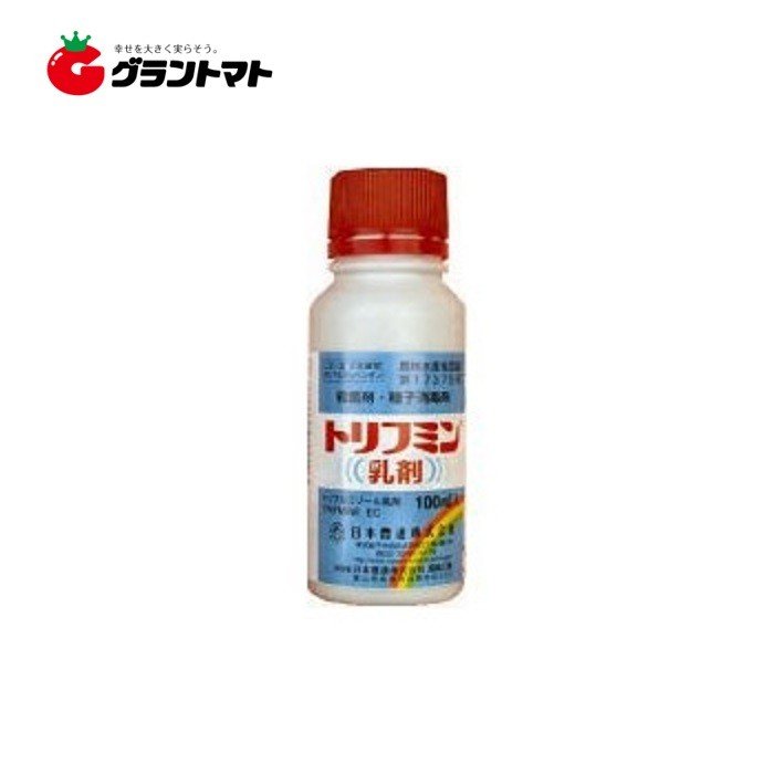 gt~ 100ml qEۍ _ {B