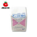 【直送品】フマキラー　カダン白アリジェットプロ　450ml　×2個【お寄せ品、返品キャンセル不可、割引不可品】