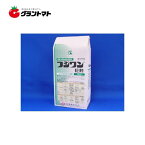 フジワン粒剤 3kg 水稲用殺菌剤 いもち病 農薬 日本農業