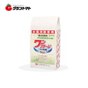 ワンステージ1キロ粒剤 1kg 水稲除草剤 ノビエ専用 日本農薬