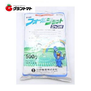 フォーカスショットジャンボ 500g(50g×10袋) 投げ入れるだけの初中期一発除草剤 水稲用除草剤 科研製薬