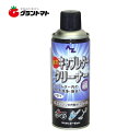 【ポイント3倍 5/1 20:00~22:59限定】強力キャブレタークリーナー F211 420ml AZ