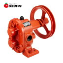 9/1抽選で最大100%ポイントバック 単体ポンプ ギヤーポンプ GC-20 口径20mm 工進