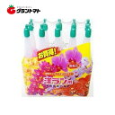 マラソン期間中P2倍 洋ラン用活力剤 35ml×10本 アンプル剤型液体肥料 ヨーキ産業