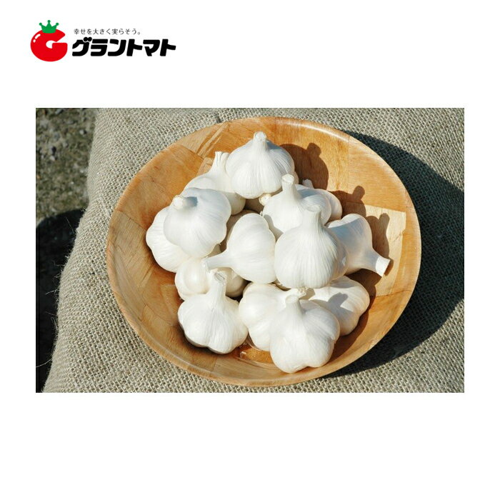 12/5限定！店内全品ポイント3倍 【青森県産】ホワイト