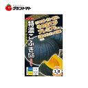 送料無料 特濃こふき5.6 カボチャ 8粒 野菜種子 ナント種苗【ネコポス】