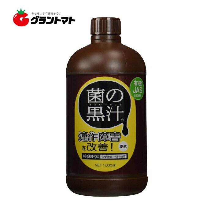 ޥ饽P2 ݤι1L 1Lȥ塼ڼʡ