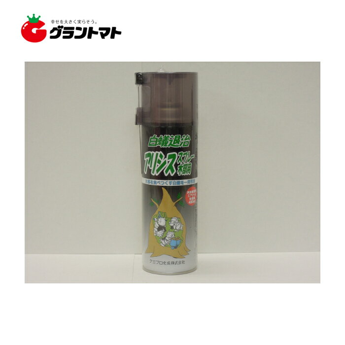 P5倍4/20 20時〜4H限定 アリシススプレー 木部用 480ml シロアリ駆除 殺虫スプレー ケミプロ化成